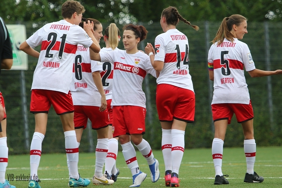 vfb28082211