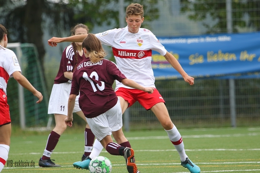 vfb28082213