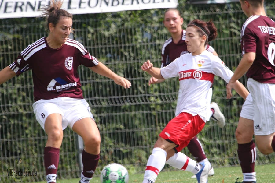 vfb28082225