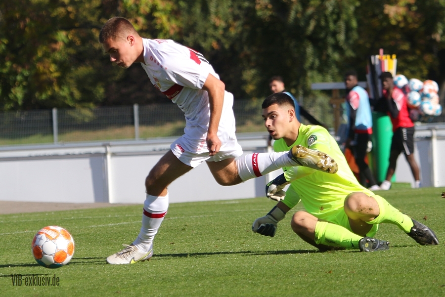 vfb09102206