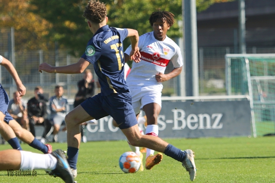 vfb09102210