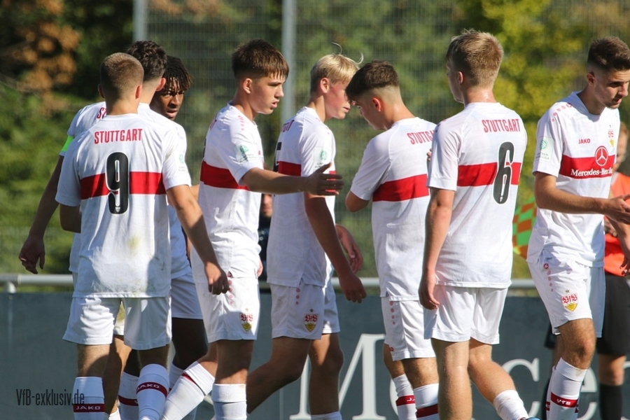 vfb09102213