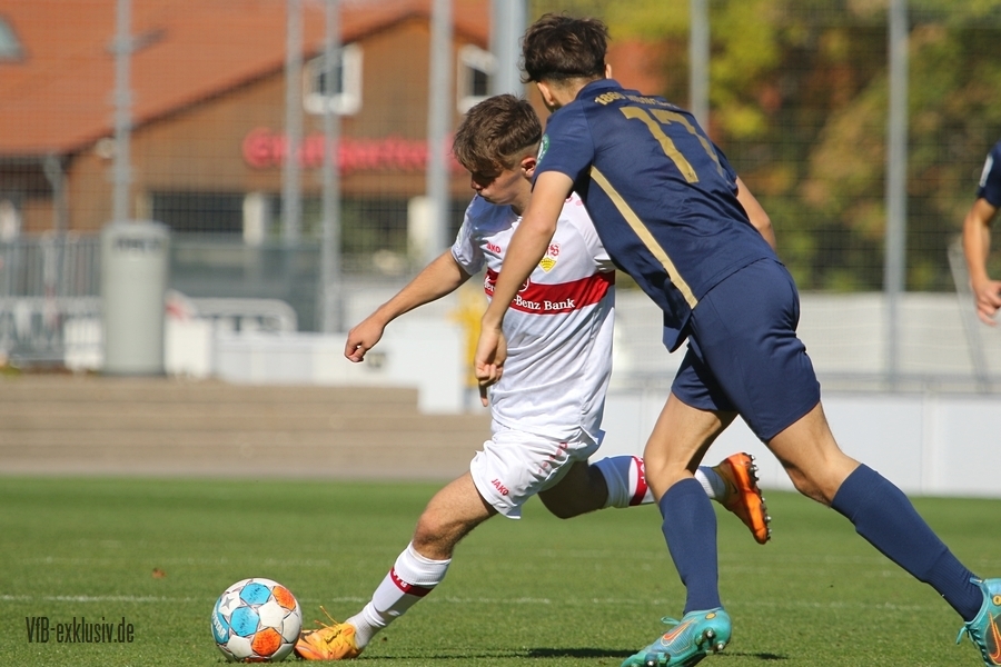 vfb09102219