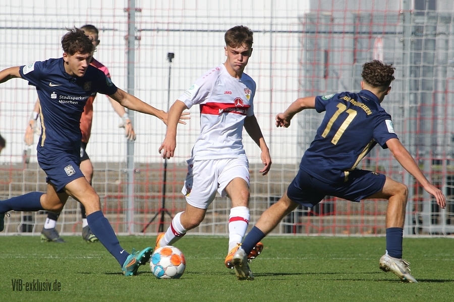vfb09102225