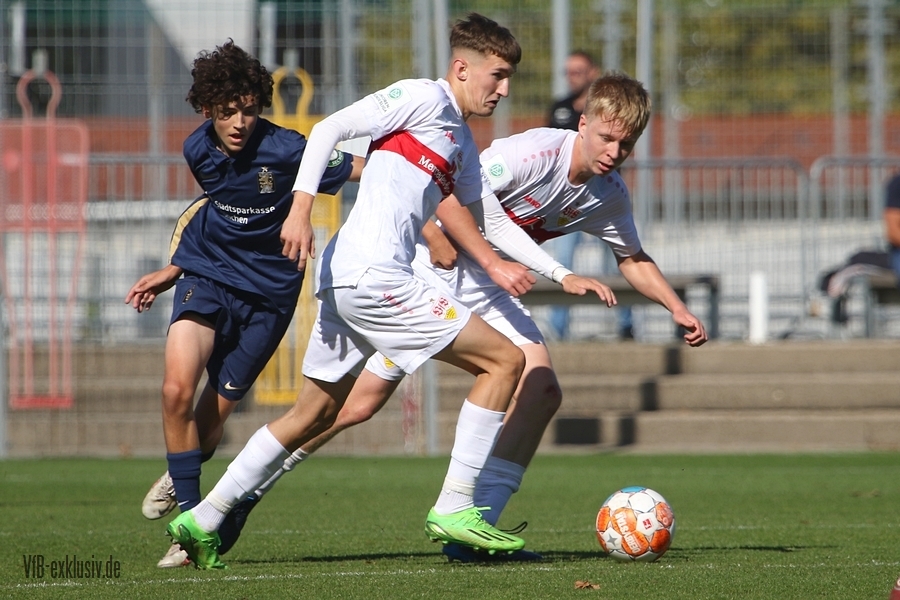 vfb09102229