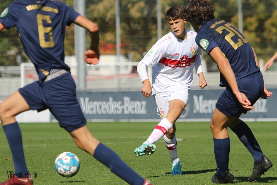 vfb09102231