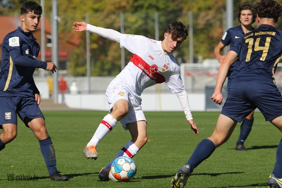 vfb09102236