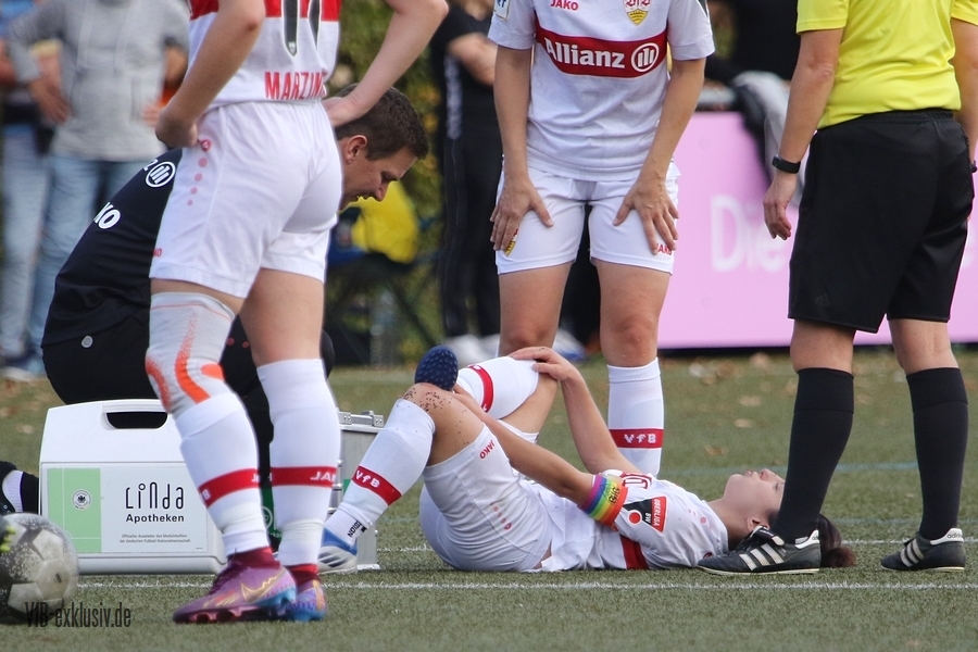 vfb161022109