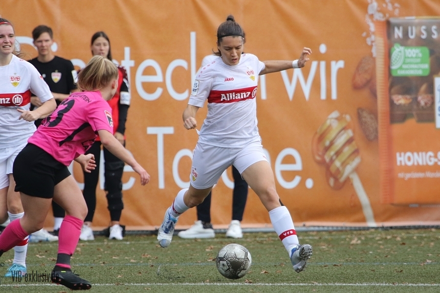 vfb161022115