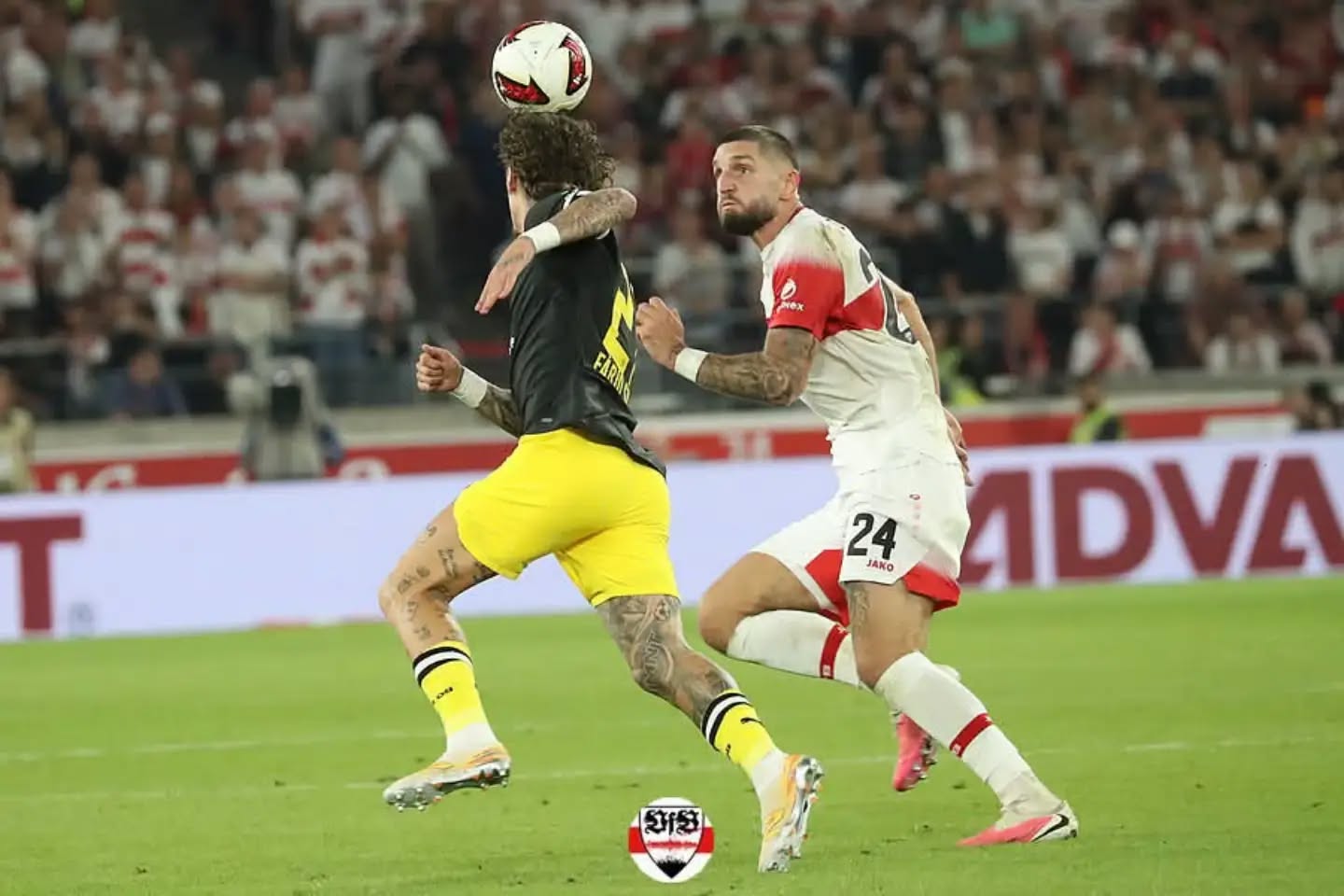 Aus “ordentlich und ok” wieder “top” machen – Hoeneß hadert mit Entscheidungen im letzten Drittel
Der VfB verliert 0:1 gegen Dortmund
Im Topspiel am Samstagabend wartete der bisher ungeschlagene BVB auf die Stuttgarter. Beide Teams legten verhalten los, hatte beide Respekt. Der VfB versuchte sich vor allem über Josha Vagnoman auf den Außenbahnen durchzukämpfen, doch sowohl Dortmund, als auch die Stuttgarter standen defensiv gut. Sebastian Hoeneß sprach nach der Partie von einer ausgeglichenen ersten Halbzeit. Das Manko der Schwaben aus seiner Sicht waren die Entscheidungen im letzten Drittel, klare Chancen zu kreieren. So ging das Spiel torlos in die Pause. Auch in der zweiten Halbzeit war es zunächst ein Spiel auf Augenhöhe. “Dann haben die Dortmunder ihren Moment” meinte der VfB-Coach. “Am Ende stehen Null Punkte, das tut weh.” Wie in Hoffenheim war auch gegen Dortmund mehr möglich, für Hoeneß wäre ein Remis sicher vertretbar gewesen, vor allem weil die Stuttgarter nach dem Rückstand nochmal eine gute Schussphase gespielt hatten, doch auch hier fehlten die klaren Chancen, weil zuvor die richtigen Entscheidungen fehlten. Für den VfB-Trainer muss aus einem ordentlichen Auftritt, wieder ein top Spiel seiner Mannschaft kommen, denn ordentlich und ok reicht nicht immer.
Bericht und Bilder 📷➡ auch bei VfB-exklusiv.de