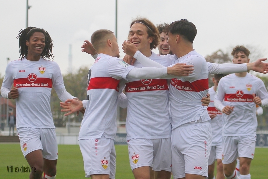 vfb051106