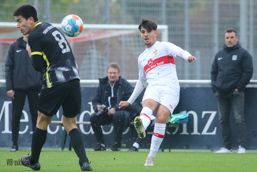 vfb051108