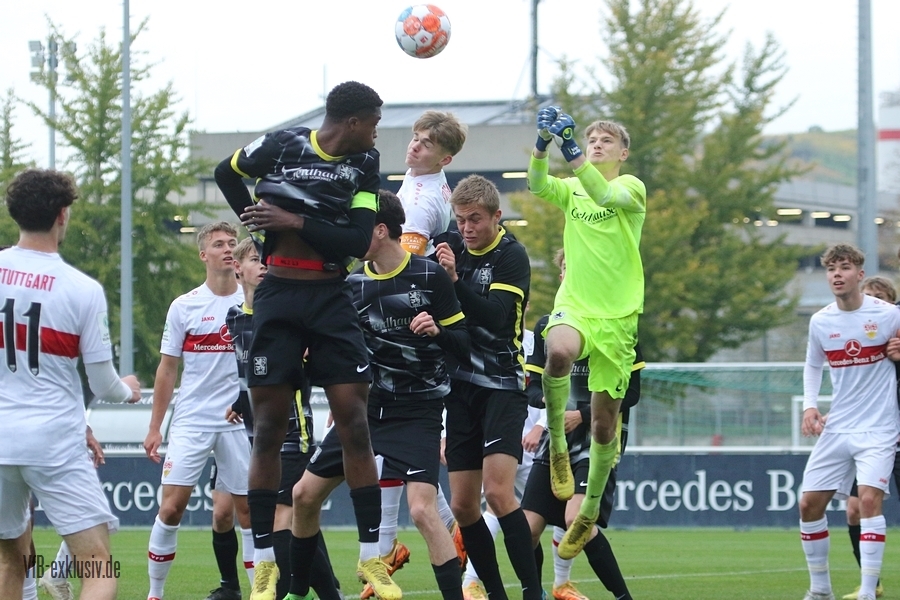 vfb051109