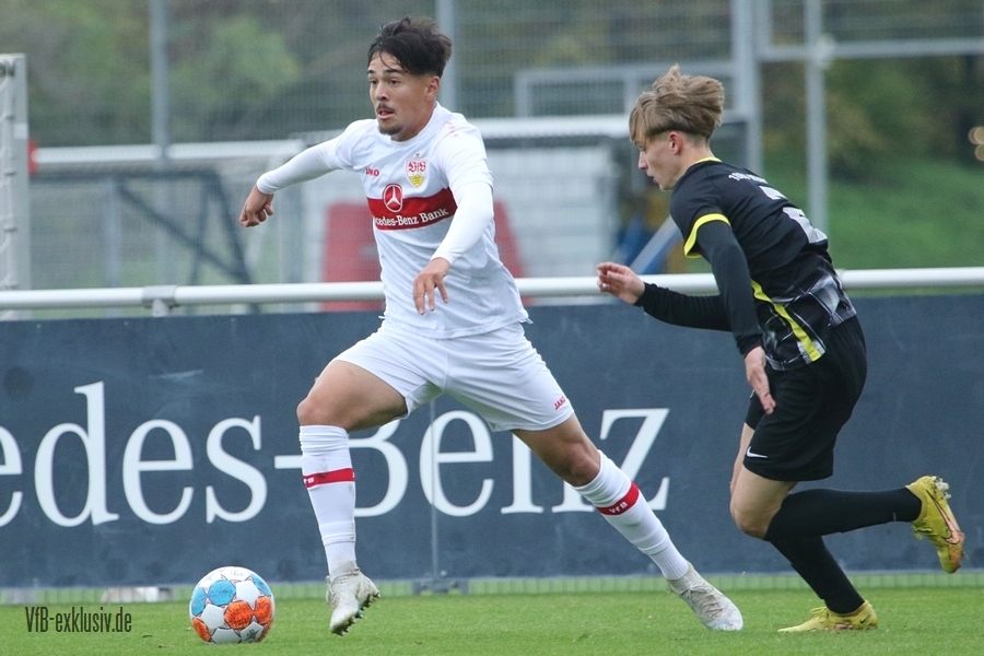 vfb051110