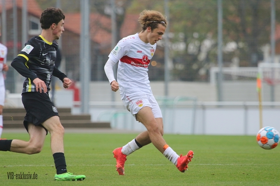 vfb051113