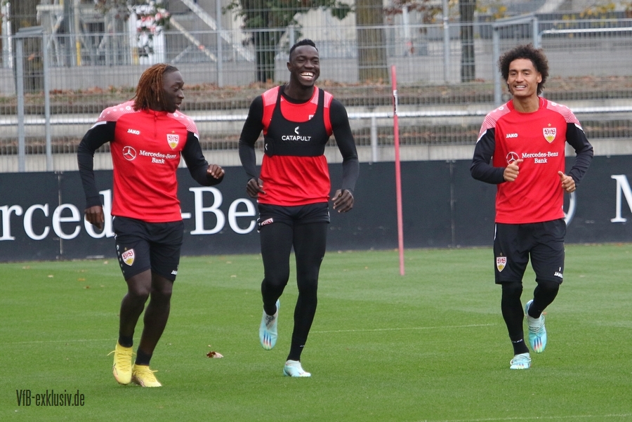 vfb0511202