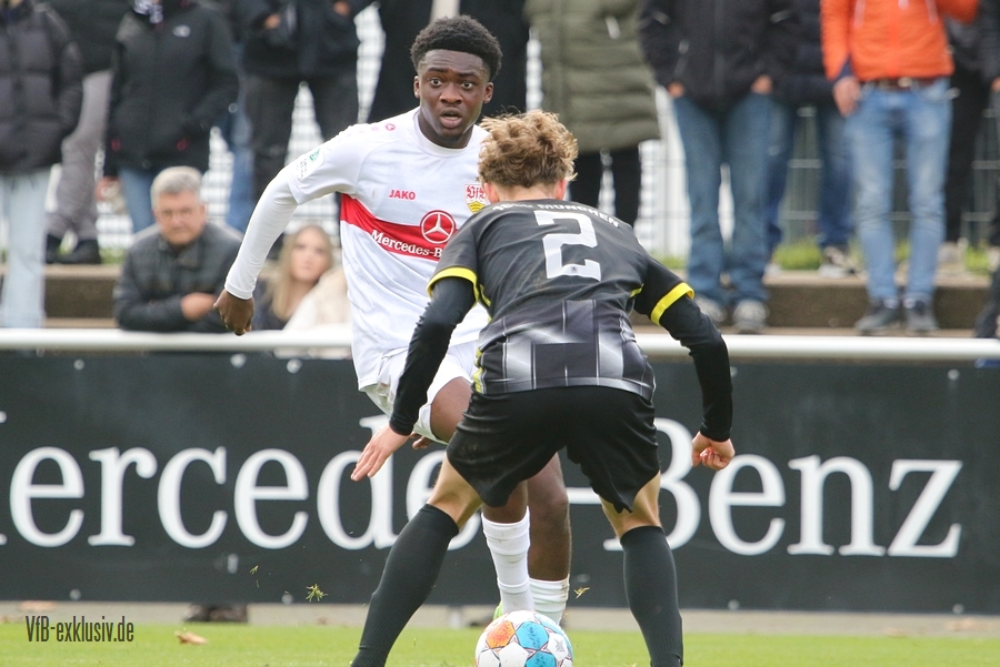vfb051129