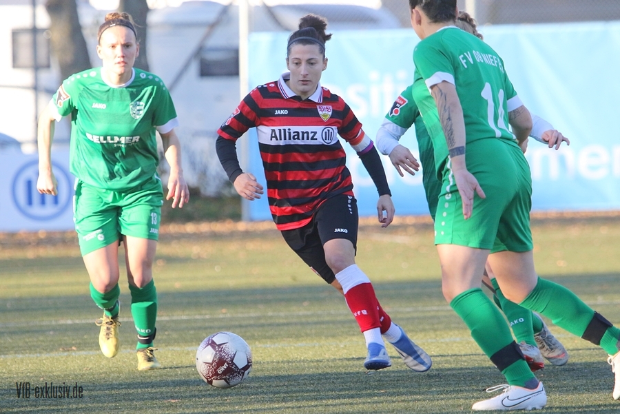 vfb13112203