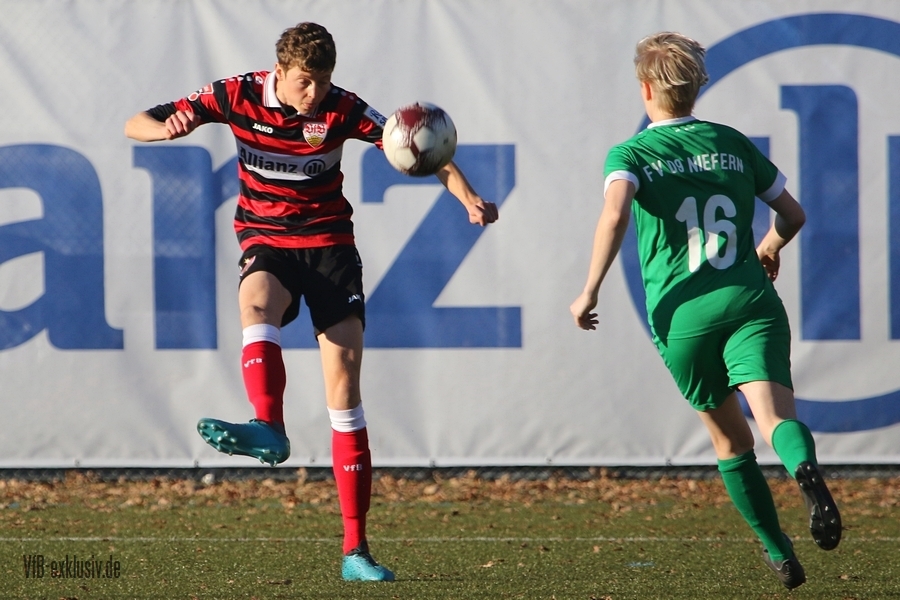 vfb13112207