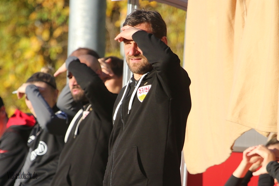 vfb13112211