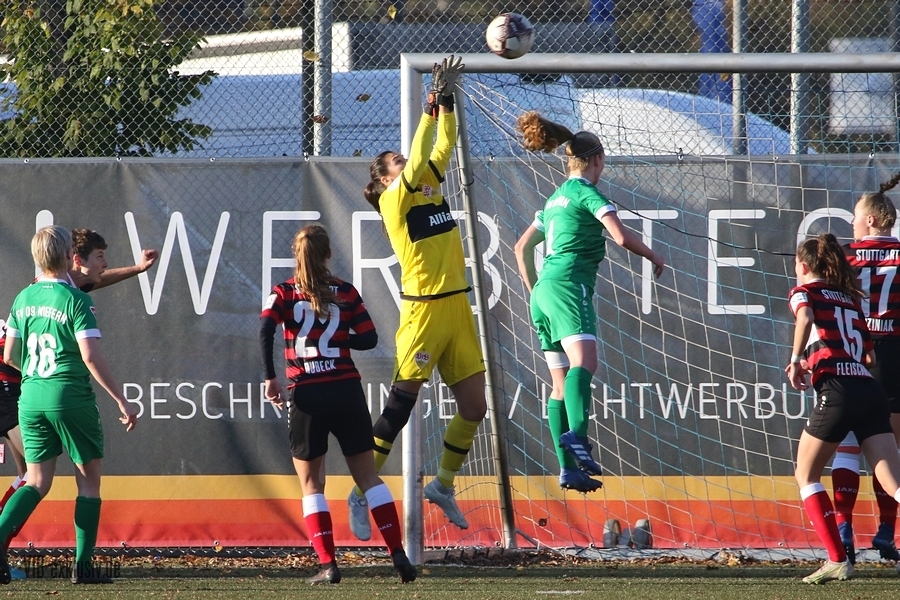 vfb13112213