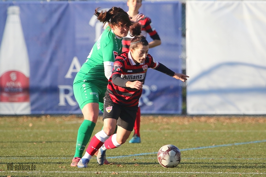 vfb13112214