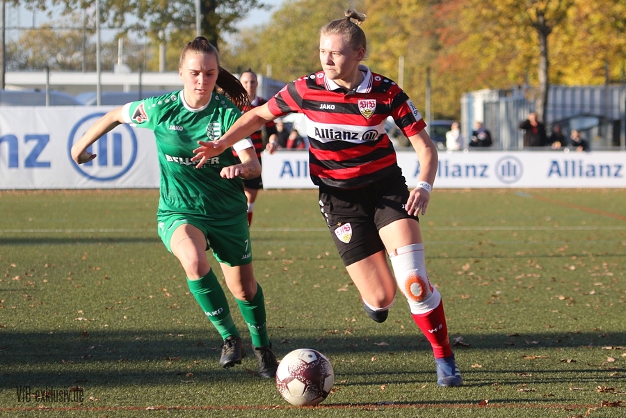 vfb13112215