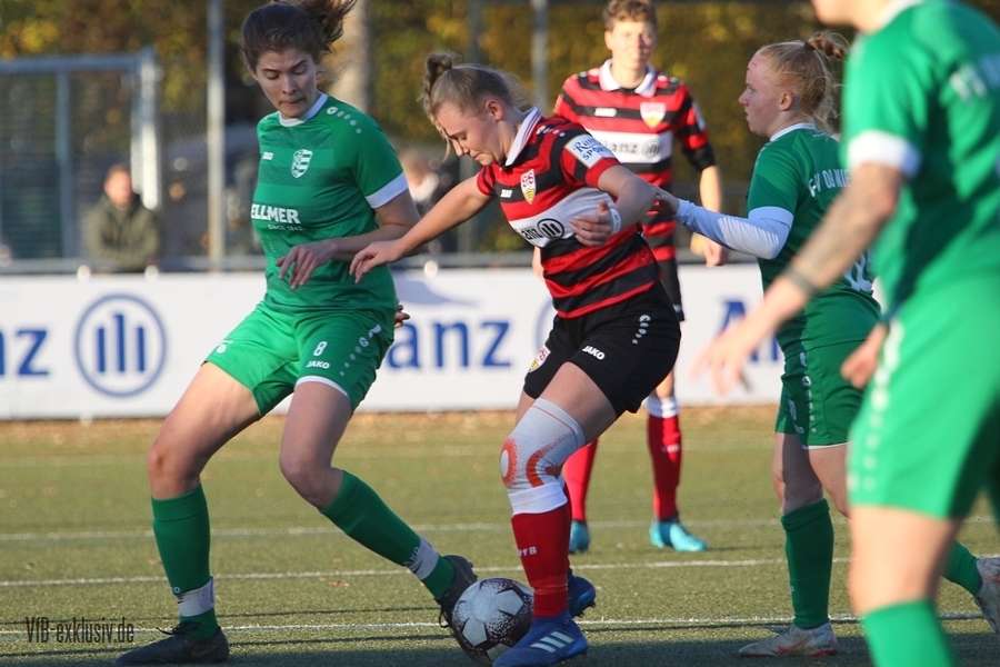 vfb13112218