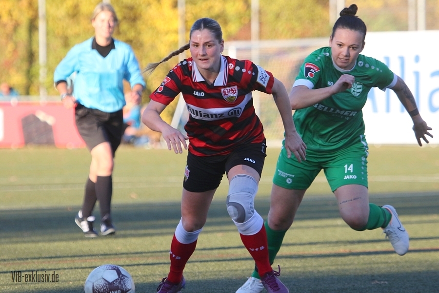 vfb13112219