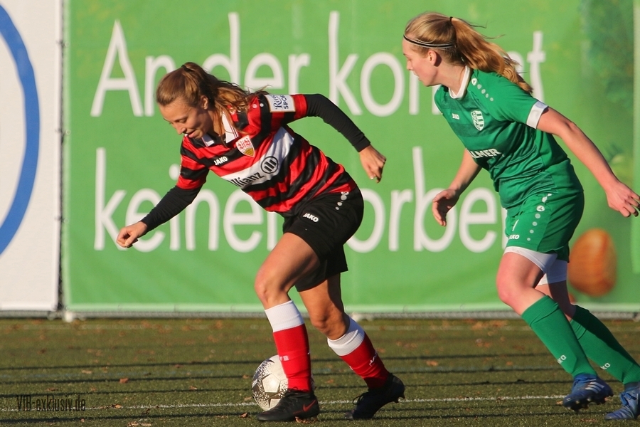 vfb13112221