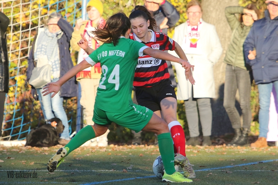 vfb13112223