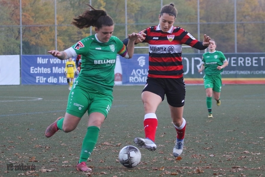 vfb13112233