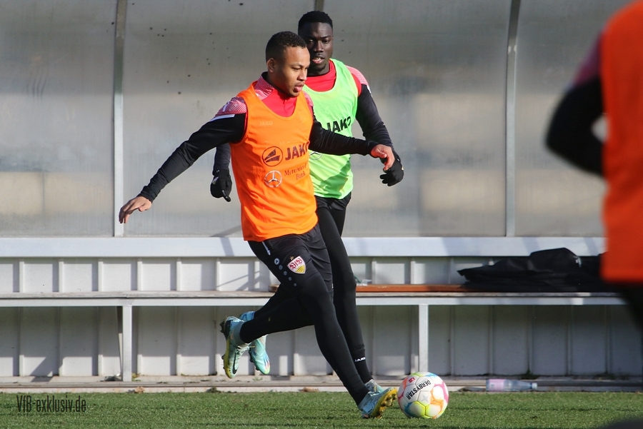 vfb30122219