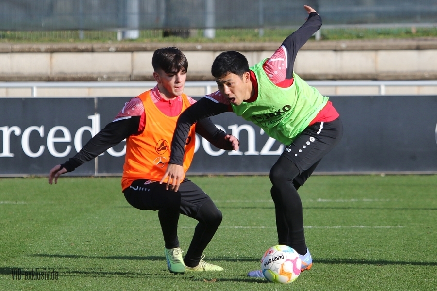vfb30122231