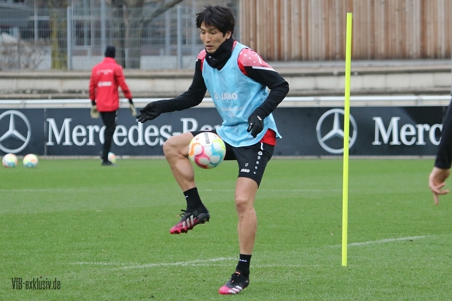 vfb01022311