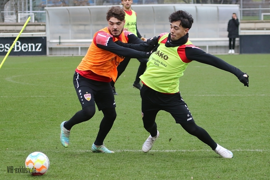 vfb01022318
