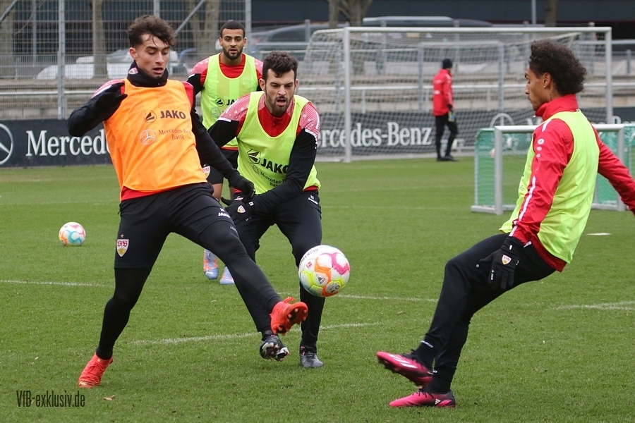 vfb01022319