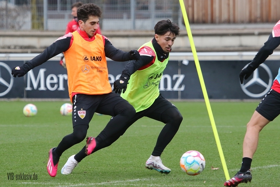 vfb01022320