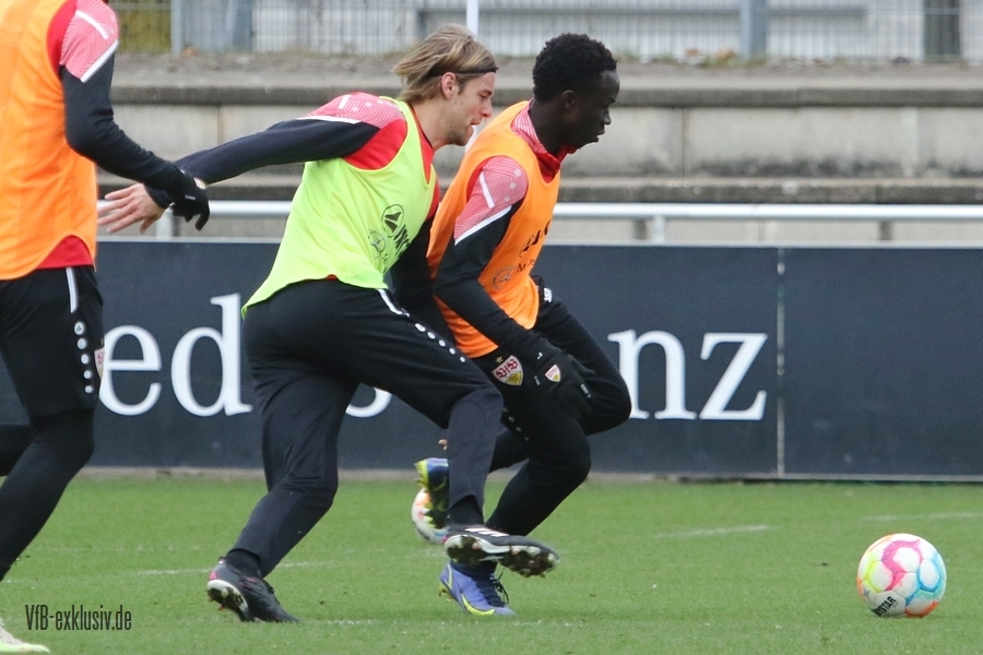 vfb01022329