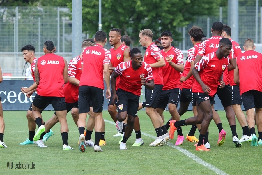 vfb06072310