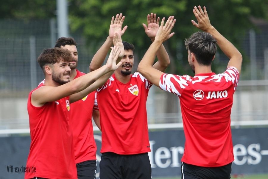vfb06072319