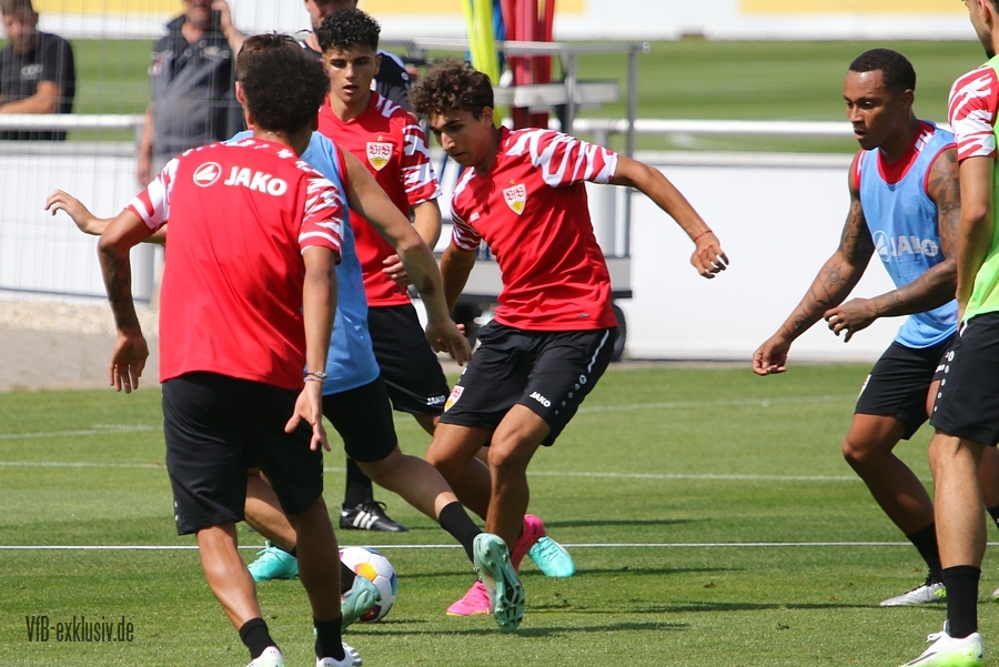 vfb06072327