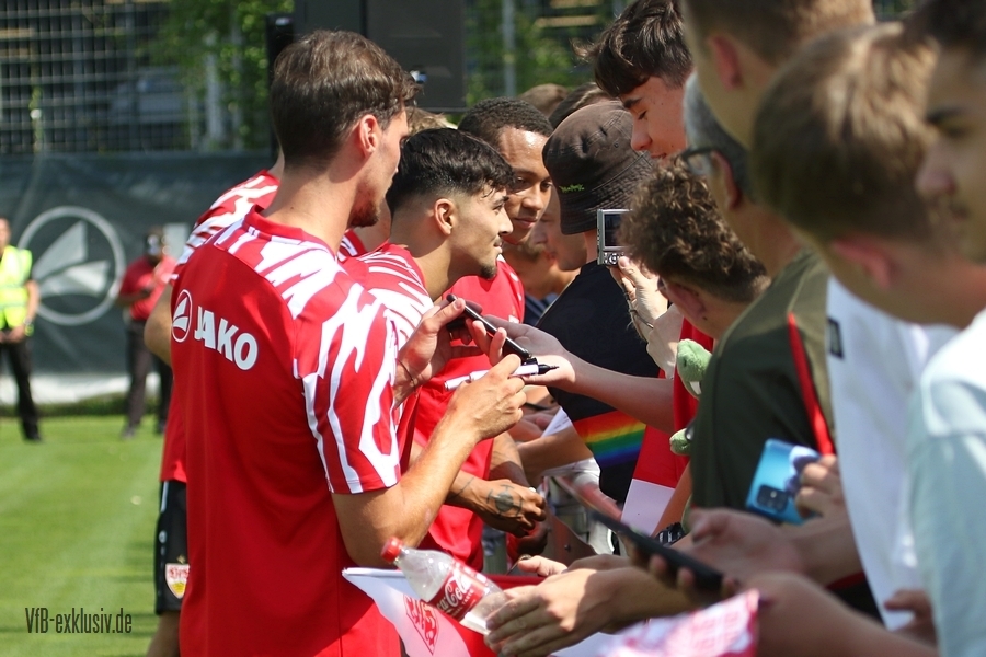 vfb06072333