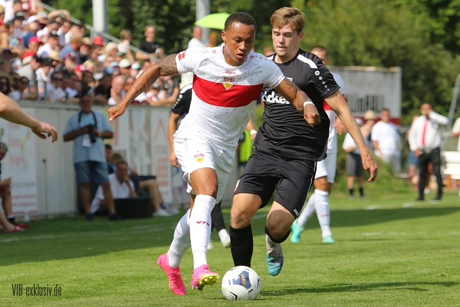 vfb09072338