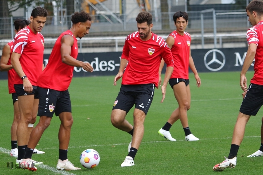 vfb13082302