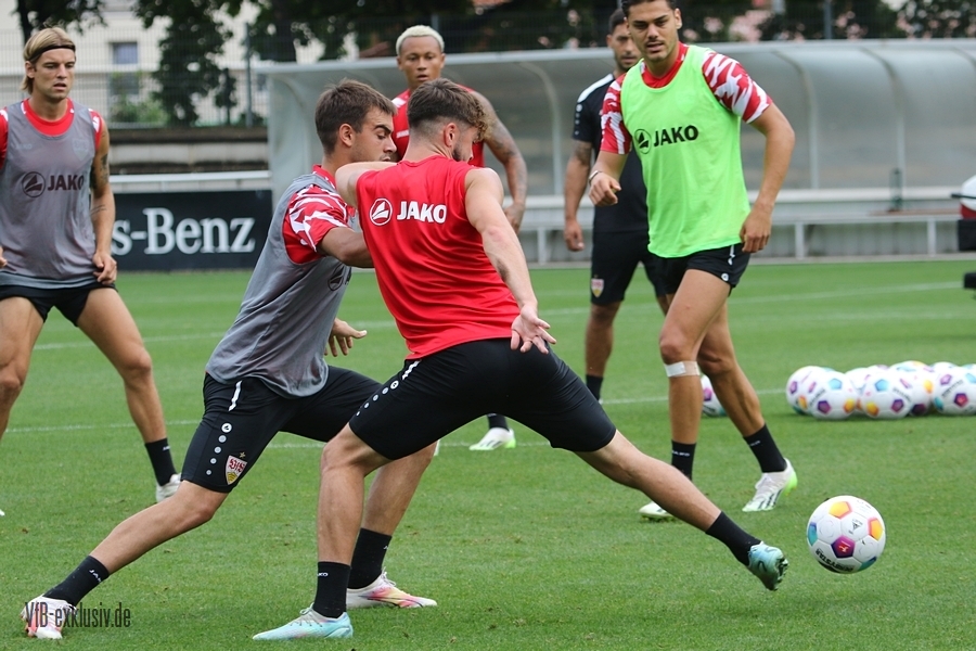 vfb13082304