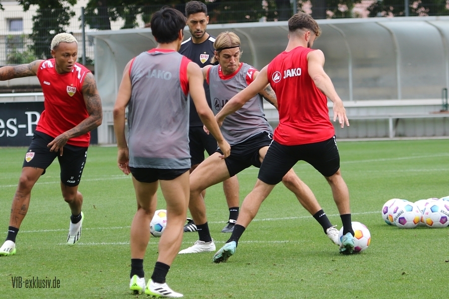 vfb13082305