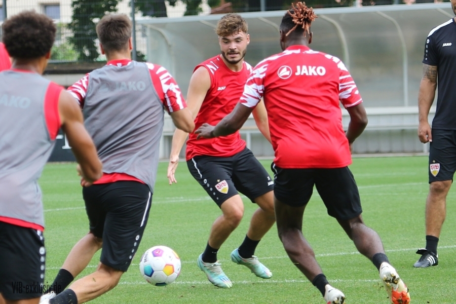 vfb13082306