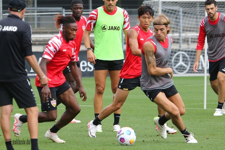 vfb13082308