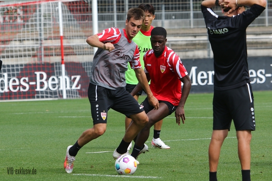 vfb13082309